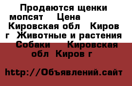 Продаются щенки мопсят. › Цена ­ 18 000 - Кировская обл., Киров г. Животные и растения » Собаки   . Кировская обл.,Киров г.